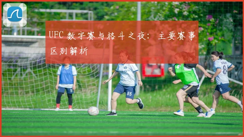 UFC 数字赛与格斗之夜:主要赛事区别解析