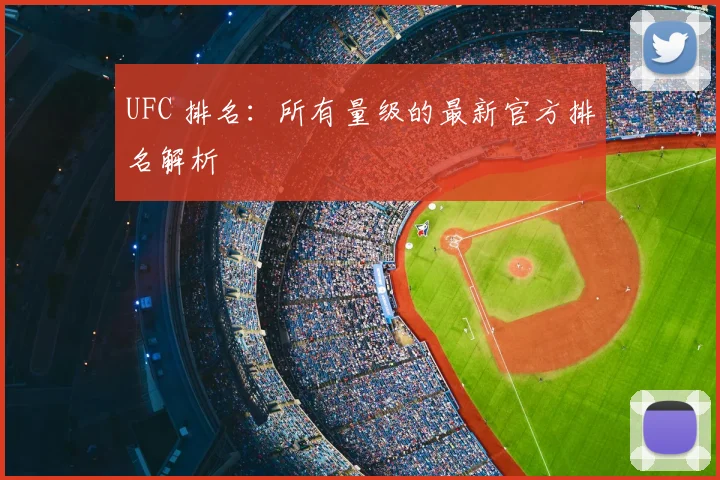 UFC 排名:所有量级的最新官方排名解析