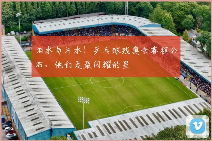 泪水与汗水！乒乓球残奥会赛程公布，他们是最闪耀的星