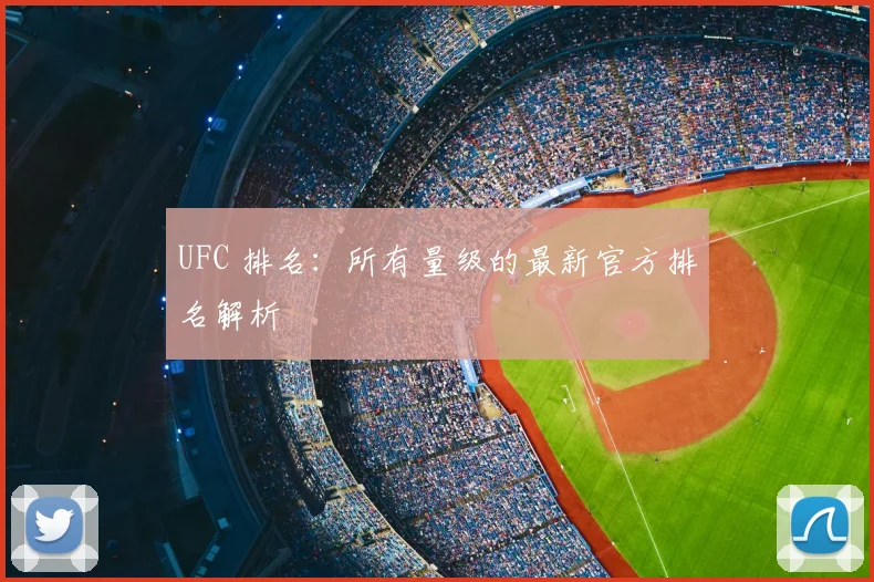 UFC 排名：所有量级的最新官方排名解析